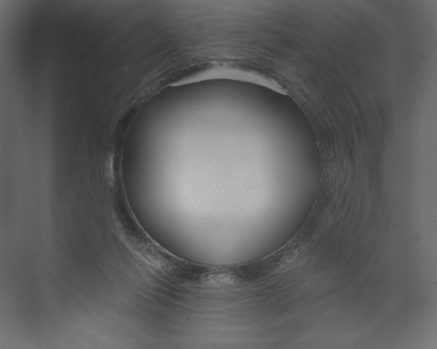 X0000073390262200608181011