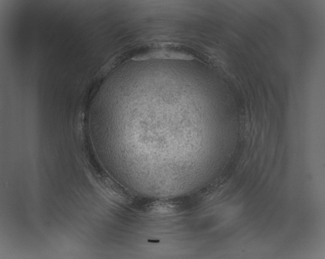 X0000073390263200608181011