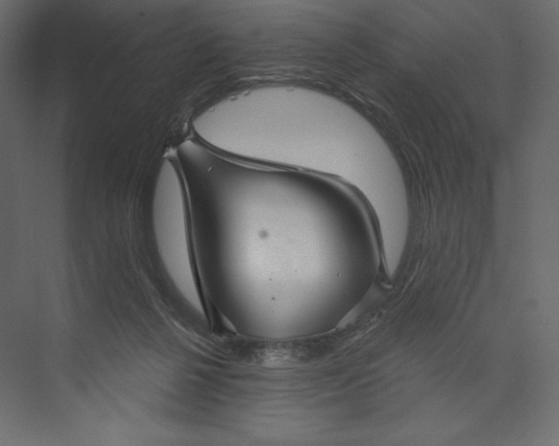 X0000073390264200608181011