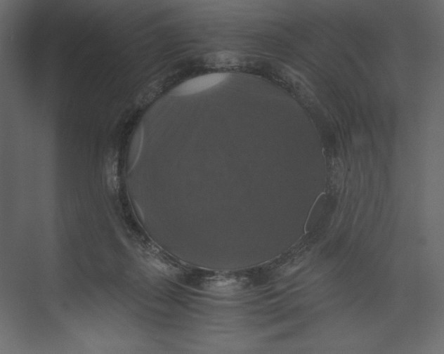 X0000073390267200608181011