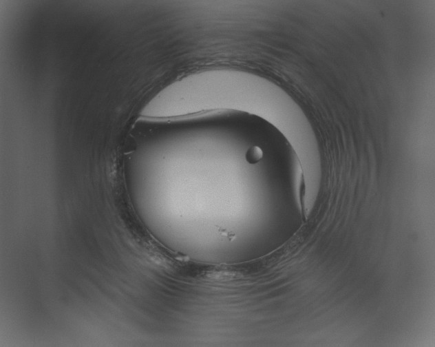 X0000073390268200608181011