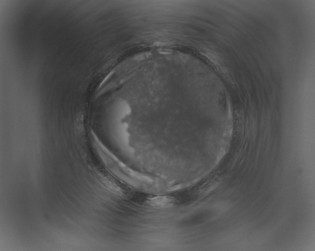 X0000073390269200608181011