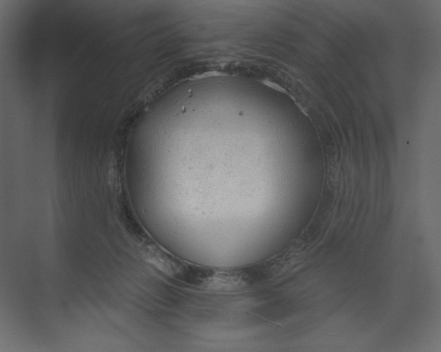 X0000073390270200608181011