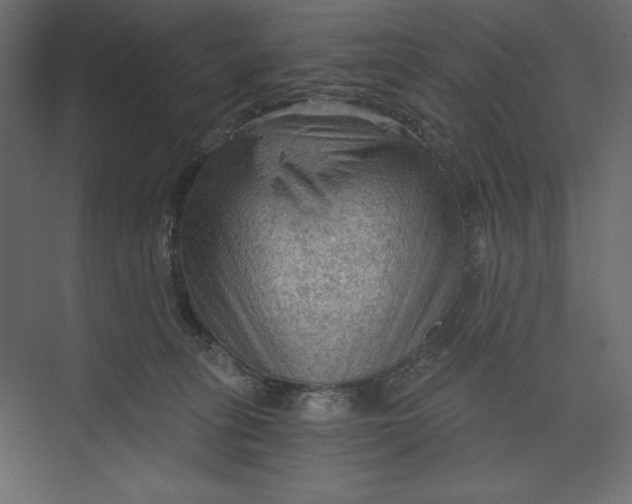 X0000073390275200608181011