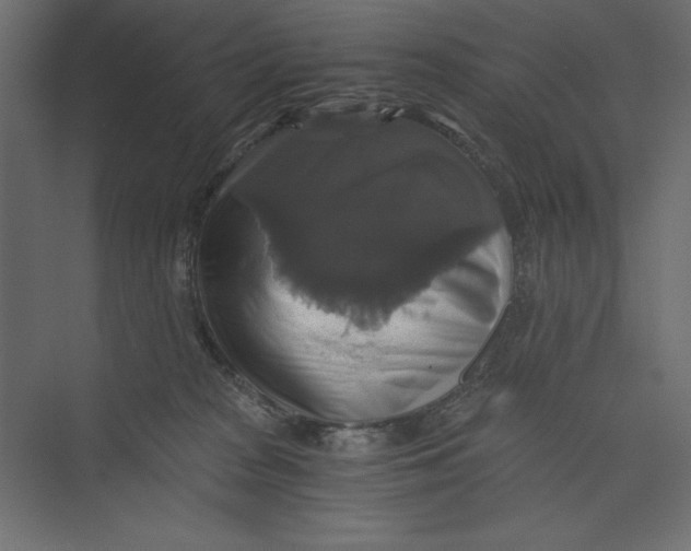 X0000073390277200608181011