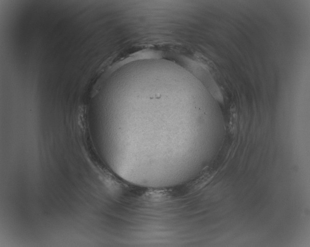 X0000073390280200608181011