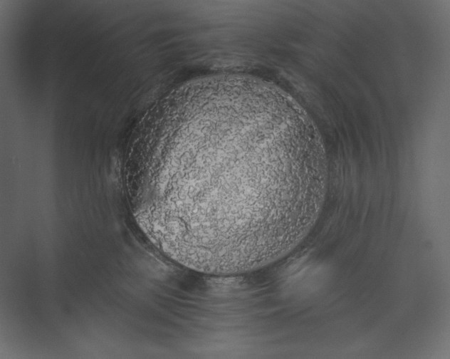 X0000073390281200608181011