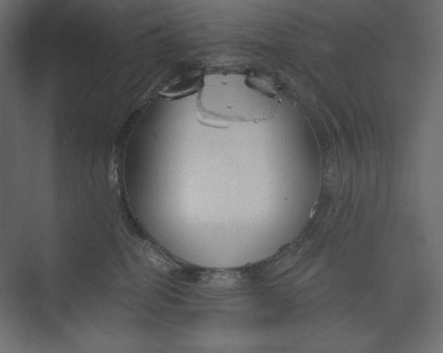 X0000073390282200608181011