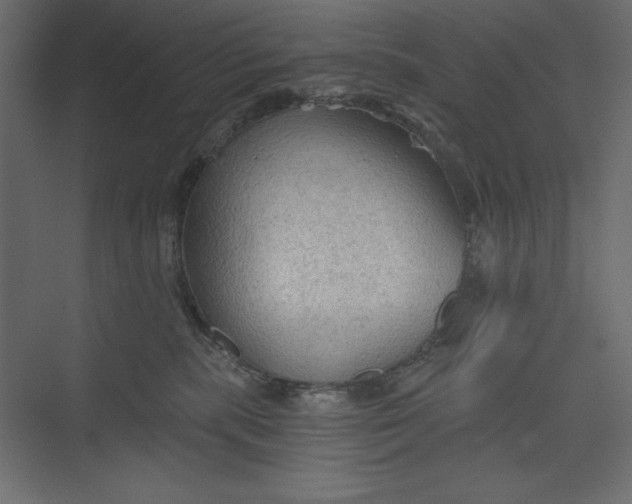 X0000073390283200608181011