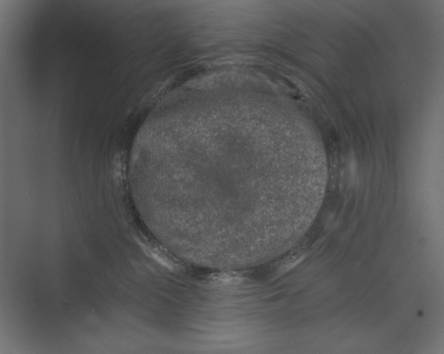 X0000073390284200608181011