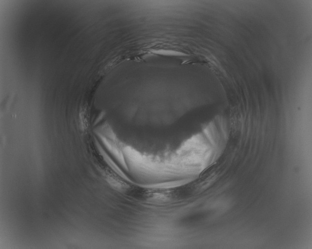 X0000073390285200608181011