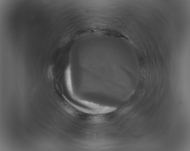 X0000073390286200608181011