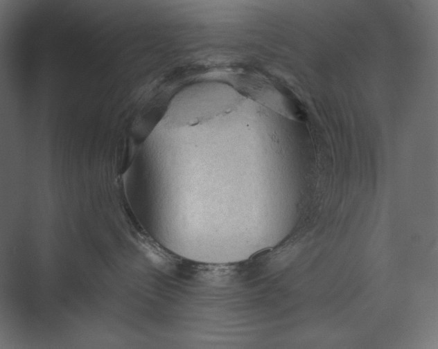 X0000073390288200608181011