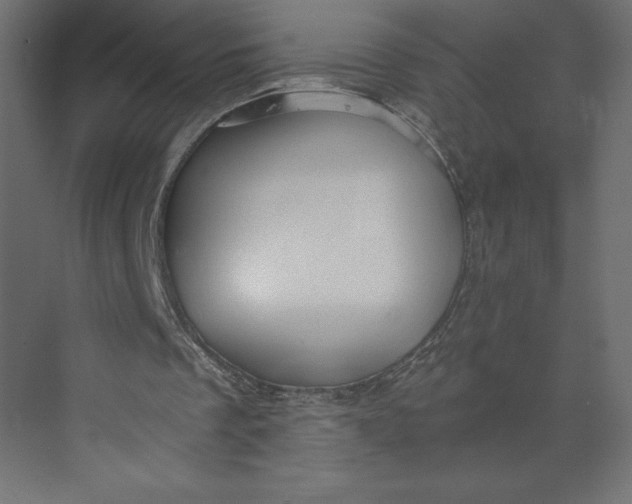 X0000073390289200608181010