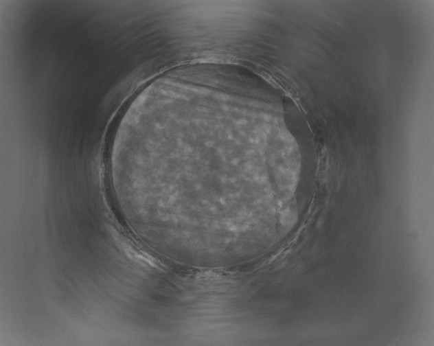 X0000073390290200608181010