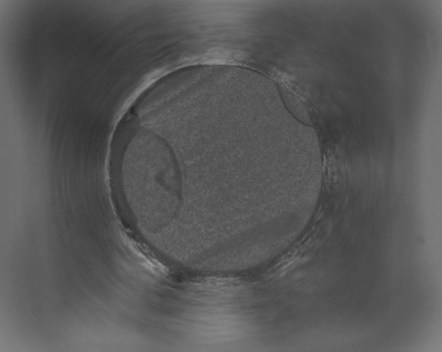 X0000073390292200608181010