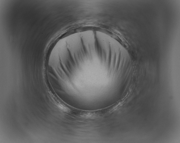 X0000073390293200608181010