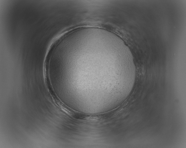 X0000073390294200608181010