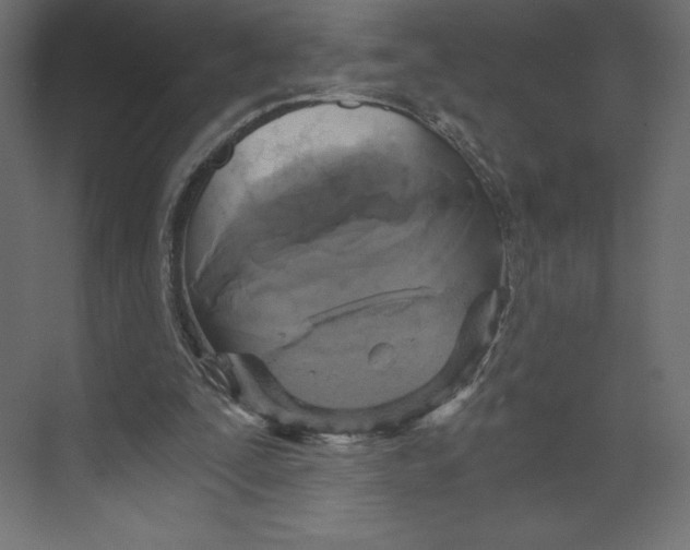 X0000073390295200608181010