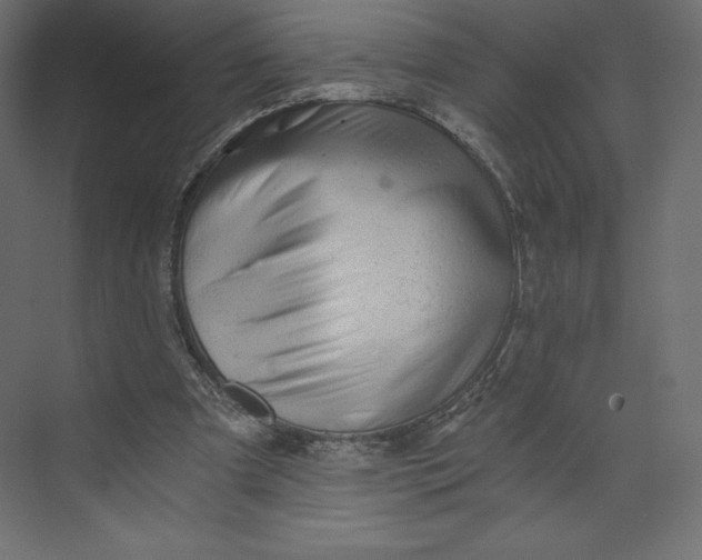 X0000073390297200608181010