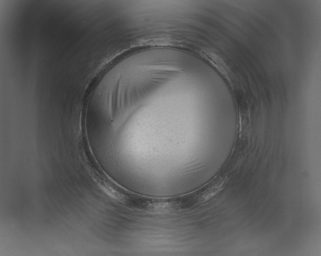 X0000073390301200608181010