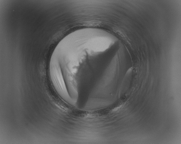 X0000073390303200608181010