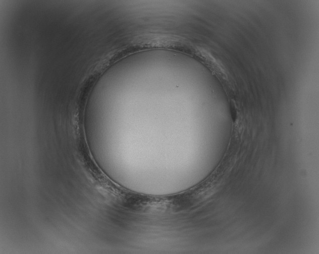 X0000073390306200608181010