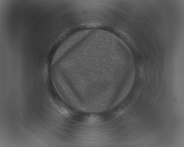 X0000073390308200608181010