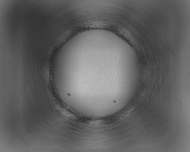 X0000073390309200608181010