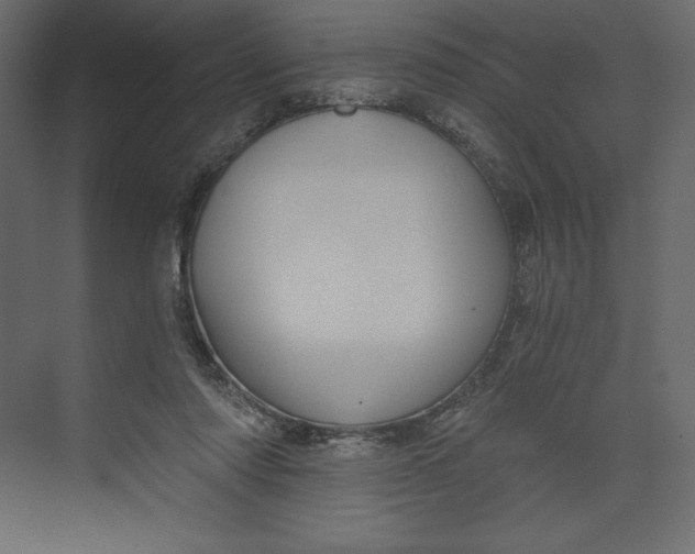 X0000073390310200608181010