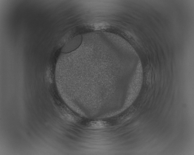 X0000073390316200608181010
