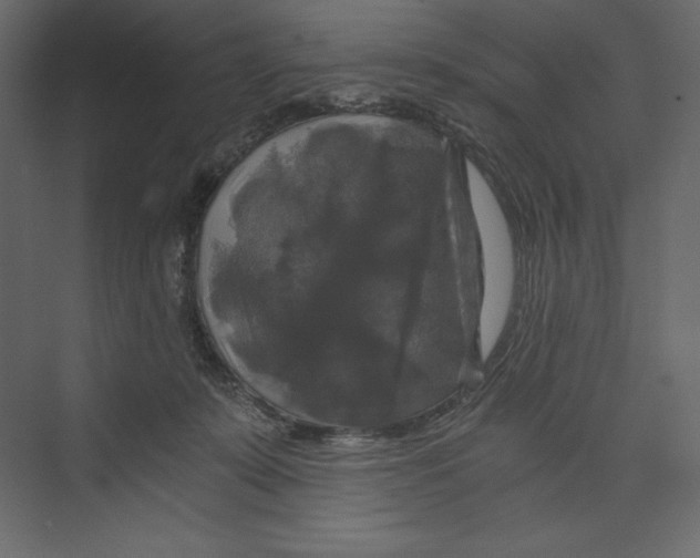 X0000073390319200608181010