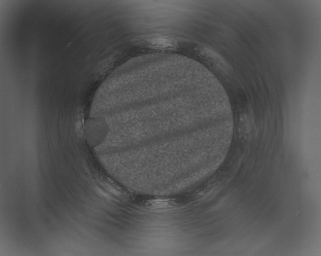 X0000073390320200608181010