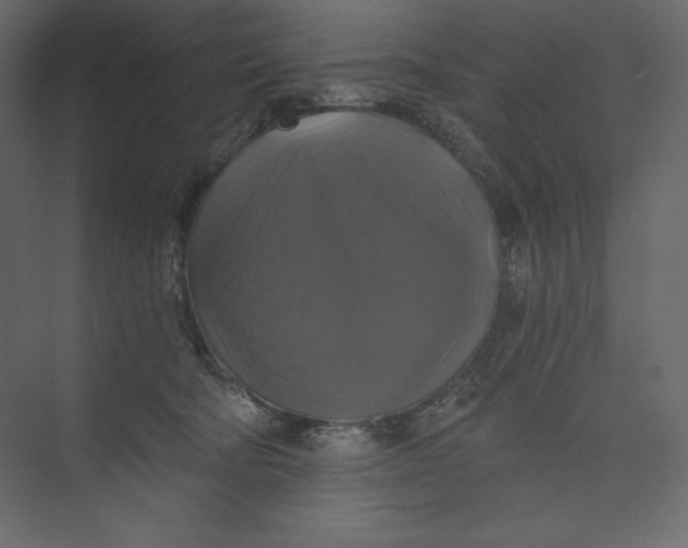 X0000073390322200608181010