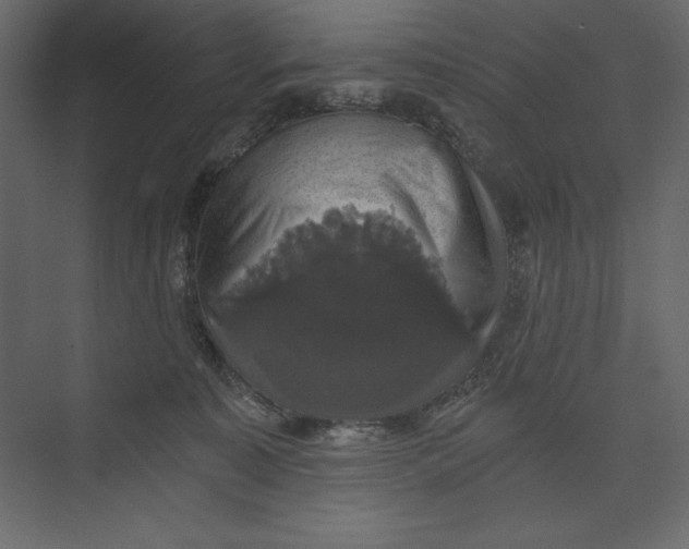X0000073390323200608181010