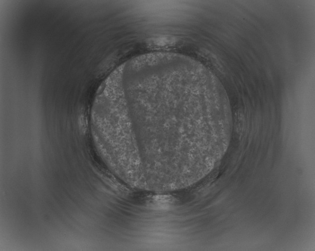 X0000073390324200608181010