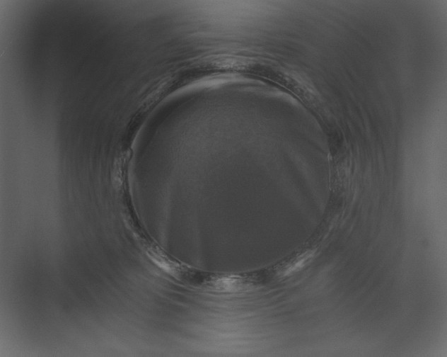 X0000073390325200608181010