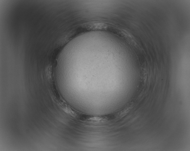 X0000073390326200608181010
