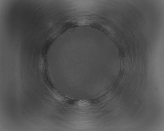 X0000073390327200608181010