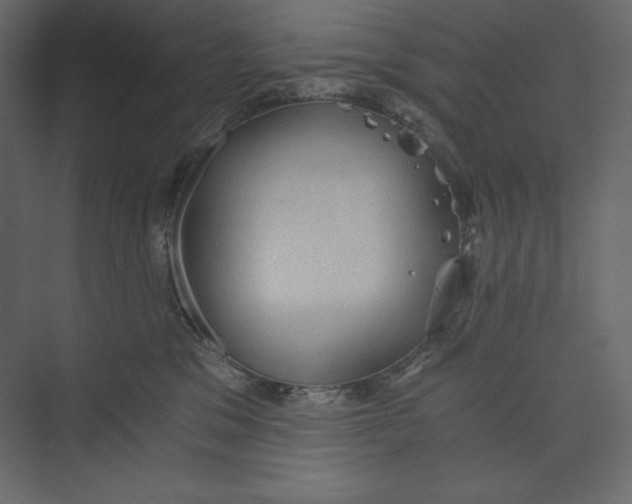 X0000073390329200608181010
