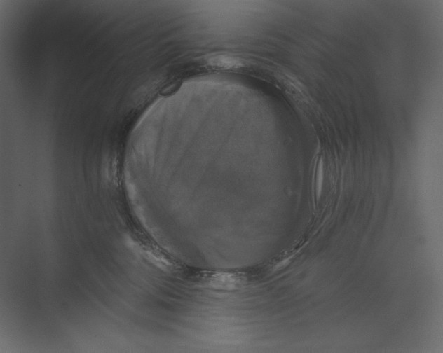 X0000073390330200608181010