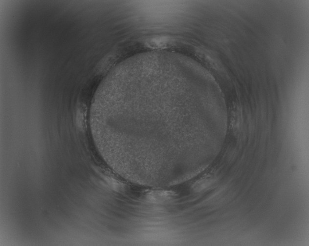 X0000073390332200608181010