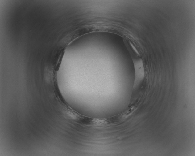 X0000073390333200608181010