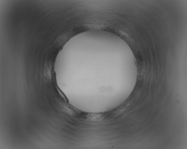 X0000073390334200608181010