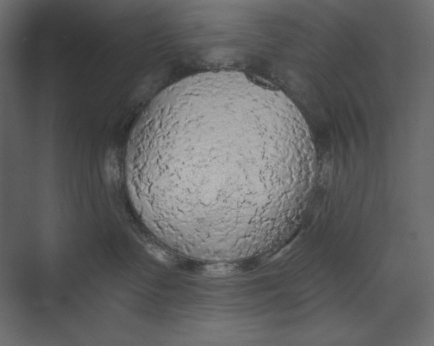 X0000073390335200608181010