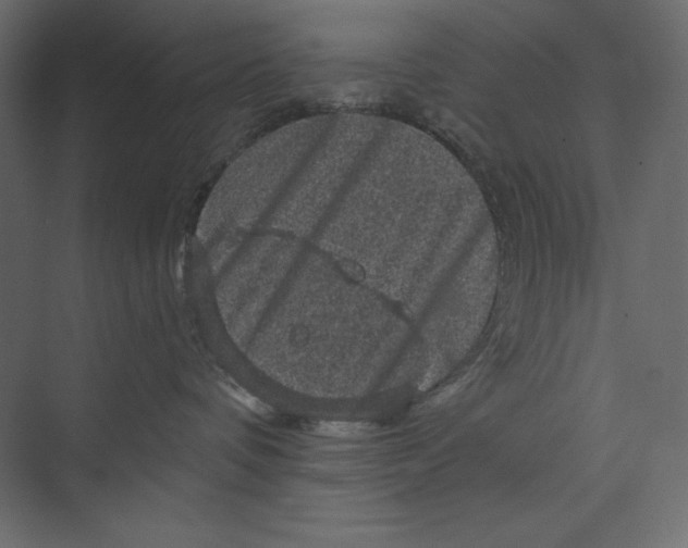X0000073390336200608181010