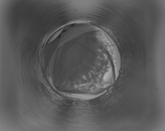 X0000073390337200608181009