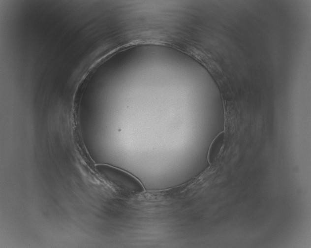 X0000073390338200608181009