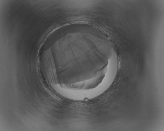 X0000073390339200608181009