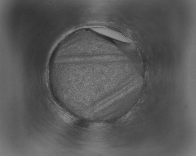X0000073390342200608181009
